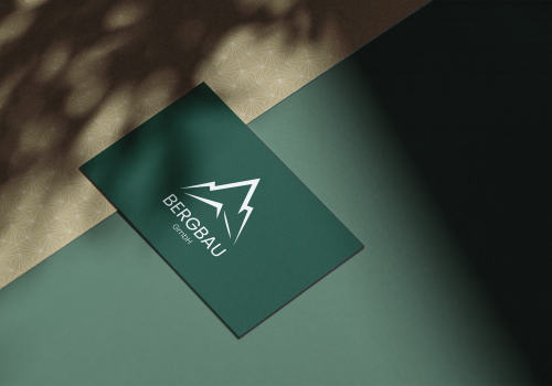 Berglogo_Mockup_VK Berglogo_Mockup_VK